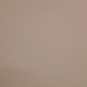 Meet your Posher, Rosario